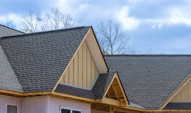 Best Chimney Flashing Repair  in Hebron, IL