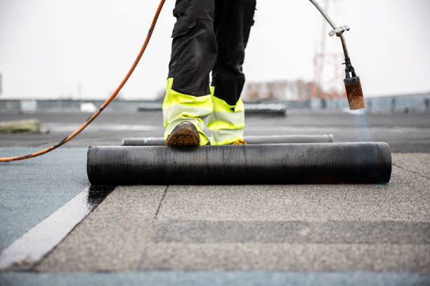 Best Steel Roofing  in Hebron, IL