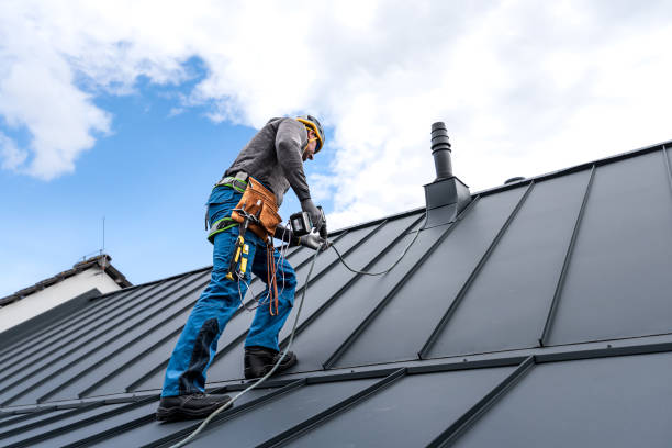 Best Roof Maintenance and Cleaning  in Hebron, IL